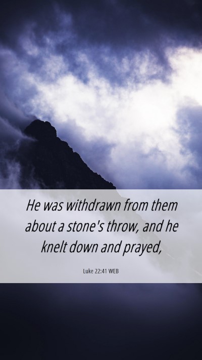 Picture 06 - Luke 22:41 WEB Mobile Phone Wallpaper - He was withdrawn from them about a stone's throw, - Mobile Bible Verse Wallpaper