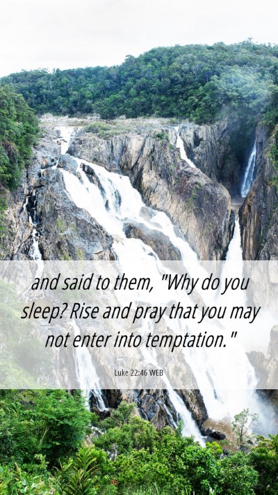 Picture 06 - Luke 22:46 WEB Mobile Phone Wallpaper - and said to them, 