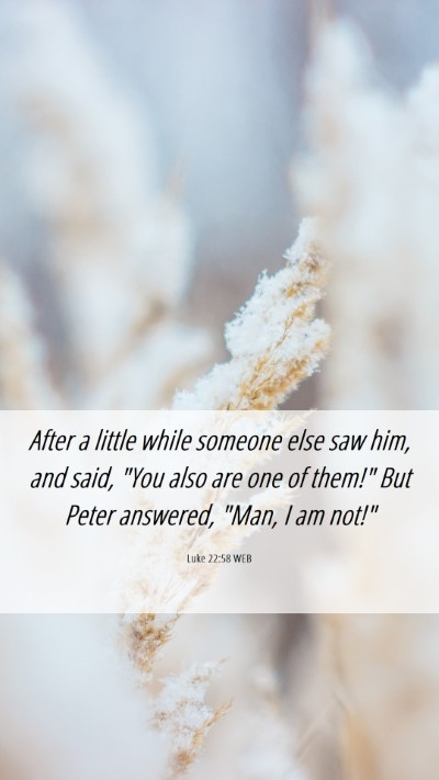 Picture 06 - Luke 22:58 WEB Mobile Phone Wallpaper - After a little while someone else saw him, and - Mobile Bible Verse Wallpaper