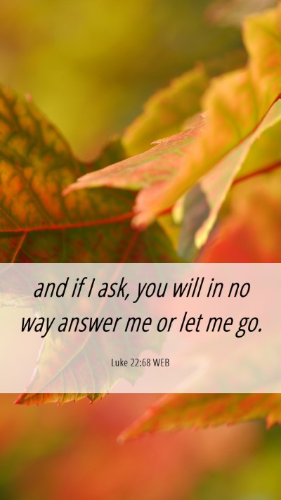 Picture 06 - Luke 22:68 WEB Mobile Phone Wallpaper - and if I ask, you will in no way answer me or let - Mobile Bible Verse Wallpaper