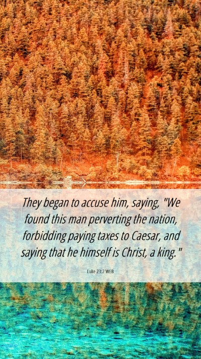 Picture 06 - Luke 23:2 WEB Mobile Phone Wallpaper - They began to accuse him, saying, 