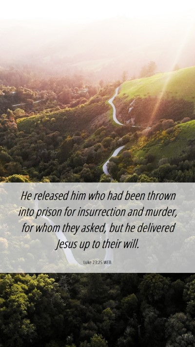 Picture 06 - Luke 23:25 WEB Mobile Phone Wallpaper - He released him who had been thrown into prison - Mobile Bible Verse Wallpaper