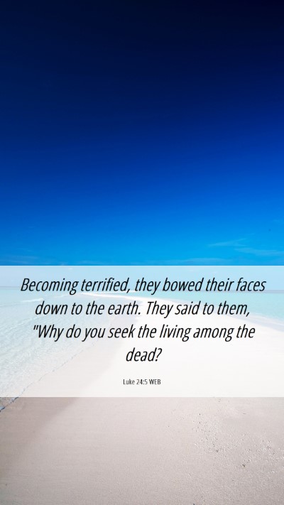 Picture 06 - Luke 24:5 WEB Mobile Phone Wallpaper - Becoming terrified, they bowed their faces down - Mobile Bible Verse Wallpaper