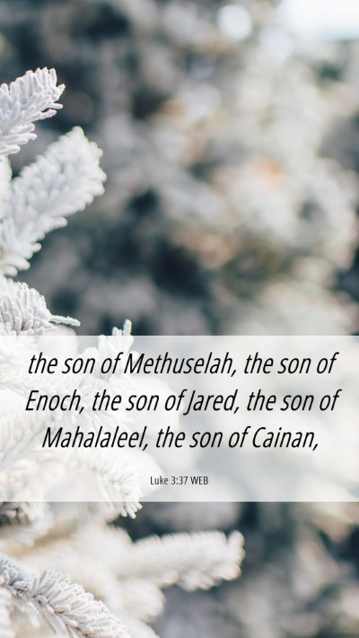 Picture 06 - Luke 3:37 WEB Mobile Phone Wallpaper - the son of Methuselah, the son of Enoch, the son - Mobile Bible Verse Wallpaper