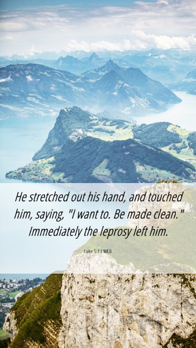 Picture 06 - Luke 5:13 WEB Mobile Phone Wallpaper - He stretched out his hand, and touched him, - Mobile Bible Verse Wallpaper
