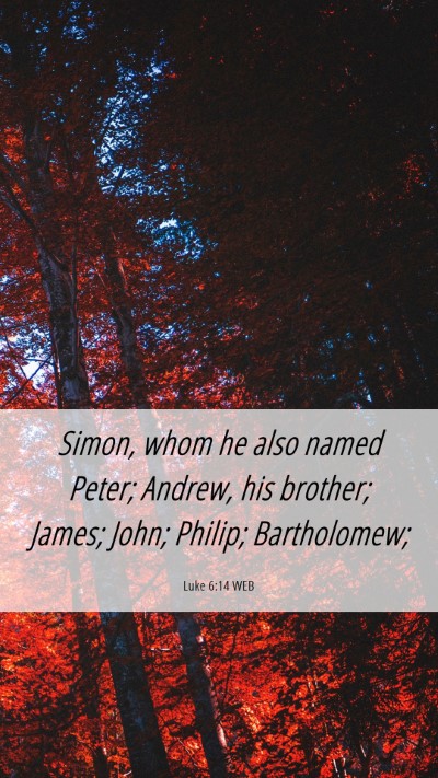 Picture 06 - Luke 6:14 WEB Mobile Phone Wallpaper - Simon, whom he also named Peter; Andrew, his - Mobile Bible Verse Wallpaper