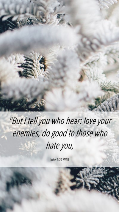 Picture 06 - Luke 6:27 WEB Mobile Phone Wallpaper - 