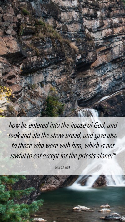 Picture 06 - Luke 6:4 WEB Mobile Phone Wallpaper - how he entered into the house of God, and took - Mobile Bible Verse Wallpaper