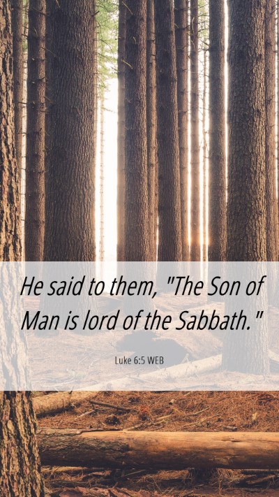 Picture 06 - Luke 6:5 WEB Mobile Phone Wallpaper - He said to them, 