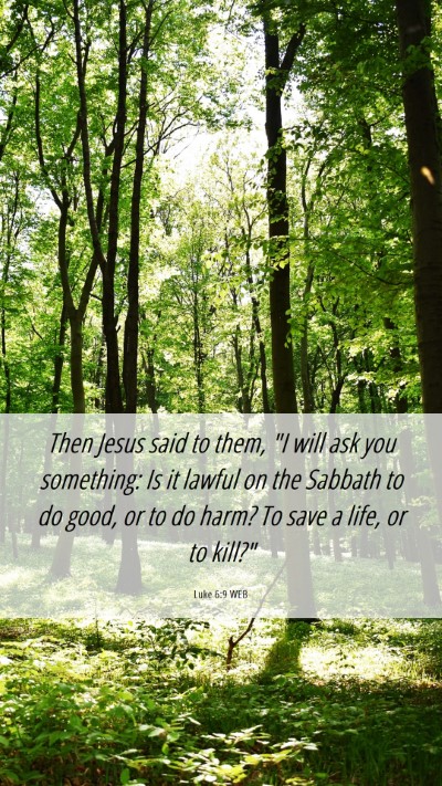 Picture 06 - Luke 6:9 WEB Mobile Phone Wallpaper - Then Jesus said to them, 