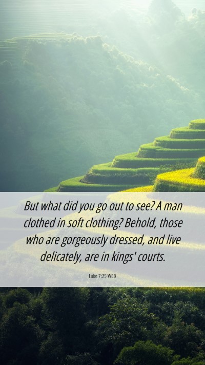 Picture 06 - Luke 7:25 WEB Mobile Phone Wallpaper - But what did you go out to see? A man clothed in - Mobile Bible Verse Wallpaper