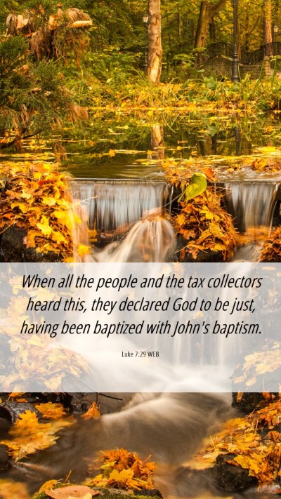 Picture 06 - Luke 7:29 WEB Mobile Phone Wallpaper - When all the people and the tax collectors heard - Mobile Bible Verse Wallpaper