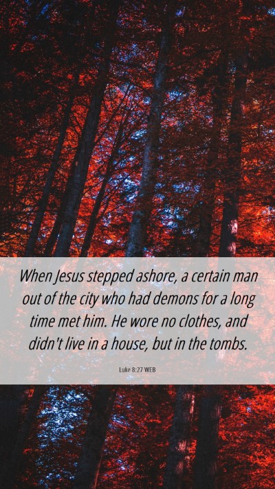 Picture 06 - Luke 8:27 WEB Mobile Phone Wallpaper - When Jesus stepped ashore, a certain man out of - Mobile Bible Verse Wallpaper