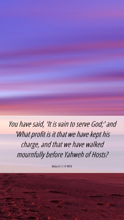 Picture 06 - Malachi 3:14 WEB Mobile Phone Wallpaper - You have said, 'It is vain to serve God;' and - Mobile Bible Verse Wallpaper