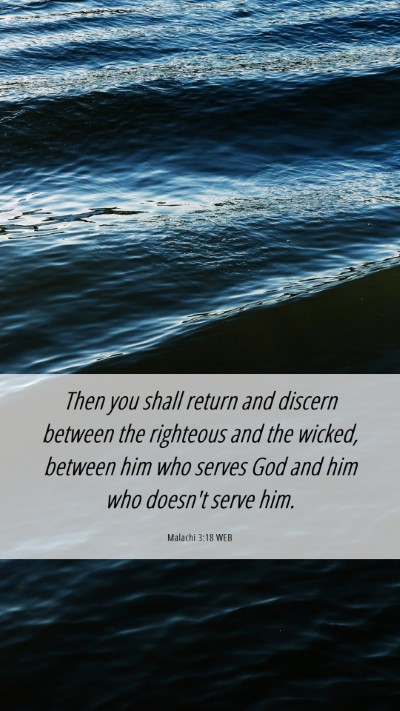 Picture 06 - Malachi 3:18 WEB Mobile Phone Wallpaper - Then you shall return and discern between the - Mobile Bible Verse Wallpaper