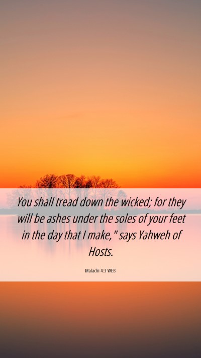 Picture 06 - Malachi 4:3 WEB Mobile Phone Wallpaper - You shall tread down the wicked; for they will be - Mobile Bible Verse Wallpaper