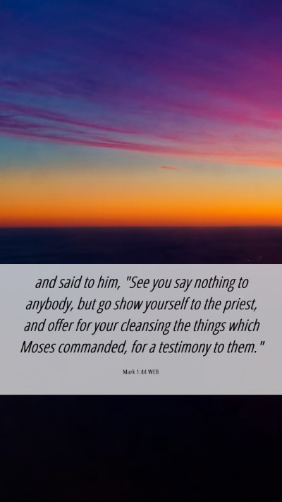 Picture 06 - Mark 1:44 WEB Mobile Phone Wallpaper - and said to him, 