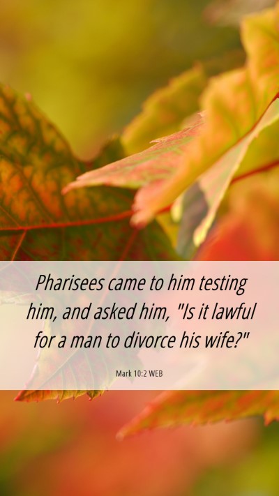Picture 06 - Mark 10:2 WEB Mobile Phone Wallpaper - Pharisees came to him testing him, and asked him, - Mobile Bible Verse Wallpaper