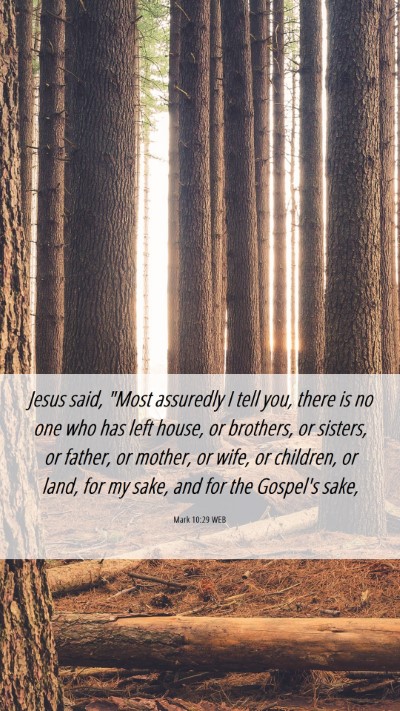 Picture 06 - Mark 10:29 WEB Mobile Phone Wallpaper - Jesus said, 