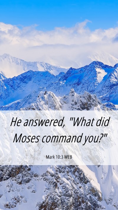 Picture 06 - Mark 10:3 WEB Mobile Phone Wallpaper - He answered, 