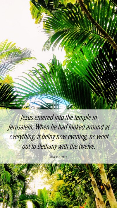 Picture 06 - Mark 11:11 WEB Mobile Phone Wallpaper - Jesus entered into the temple in Jerusalem. When - Mobile Bible Verse Wallpaper