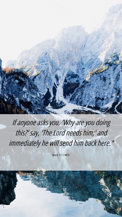 Picture 06 - Mark 11:3 WEB Mobile Phone Wallpaper - If anyone asks you, 'Why are you doing this?' - Mobile Bible Verse Wallpaper