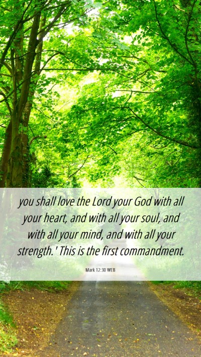 Picture 06 - Mark 12:30 WEB Mobile Phone Wallpaper - you shall love the Lord your God with all your - Mobile Bible Verse Wallpaper