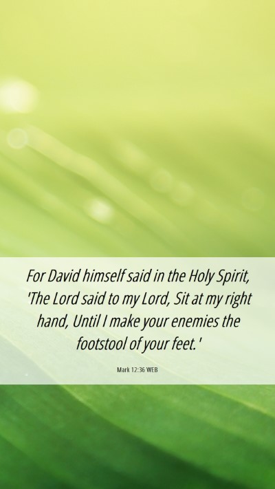Picture 06 - Mark 12:36 WEB Mobile Phone Wallpaper - For David himself said in the Holy Spirit, 'The - Mobile Bible Verse Wallpaper