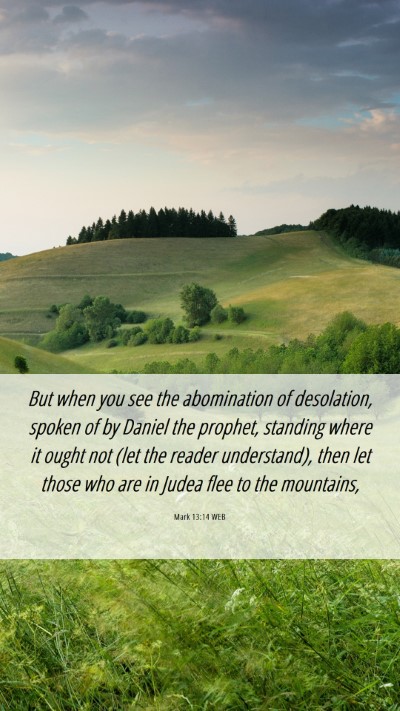 Picture 06 - Mark 13:14 WEB Mobile Phone Wallpaper - But when you see the abomination of desolation, - Mobile Bible Verse Wallpaper