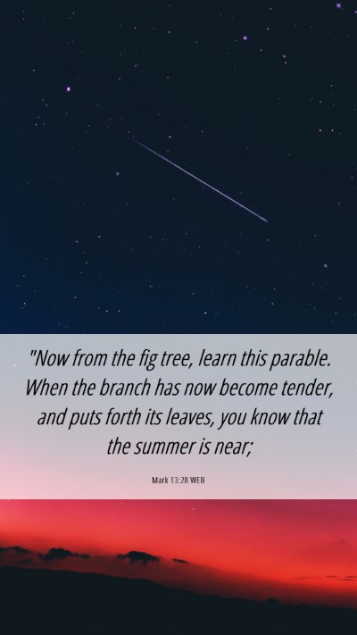 Picture 06 - Mark 13:28 WEB Mobile Phone Wallpaper - 