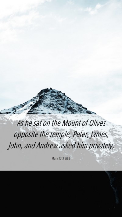 Picture 06 - Mark 13:3 WEB Mobile Phone Wallpaper - As he sat on the Mount of Olives opposite the - Mobile Bible Verse Wallpaper