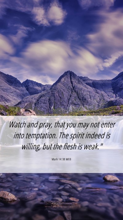Picture 06 - Mark 14:38 WEB Mobile Phone Wallpaper - Watch and pray, that you may not enter into - Mobile Bible Verse Wallpaper