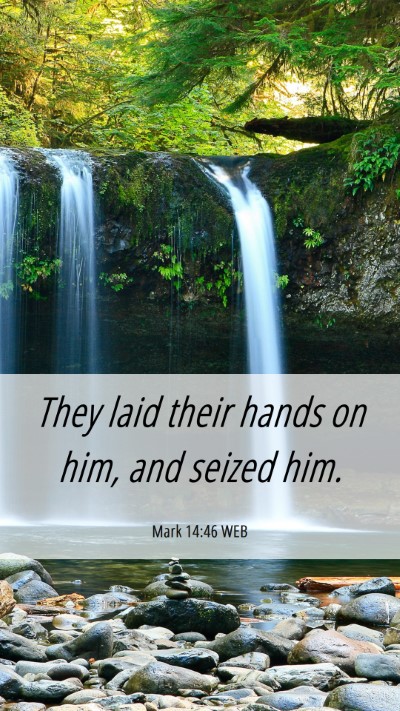 Picture 06 - Mark 14:46 WEB Mobile Phone Wallpaper - They laid their hands on him, and seized - Mobile Bible Verse Wallpaper