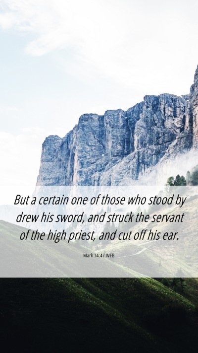Picture 06 - Mark 14:47 WEB Mobile Phone Wallpaper - But a certain one of those who stood by drew his - Mobile Bible Verse Wallpaper