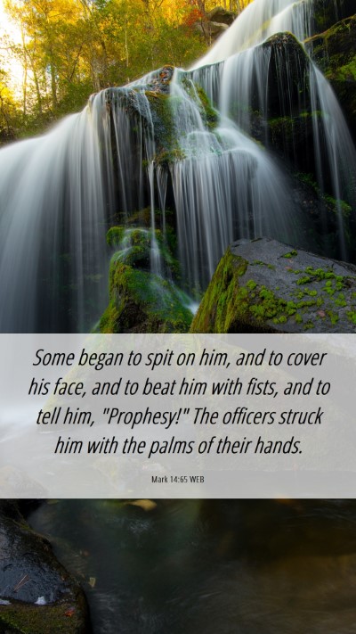 Picture 06 - Mark 14:65 WEB Mobile Phone Wallpaper - Some began to spit on him, and to cover his face, - Mobile Bible Verse Wallpaper