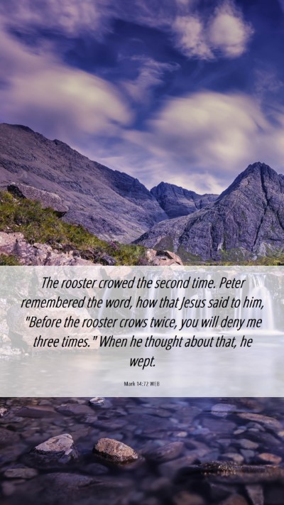 Picture 06 - Mark 14:72 WEB Mobile Phone Wallpaper - The rooster crowed the second time. Peter - Mobile Bible Verse Wallpaper