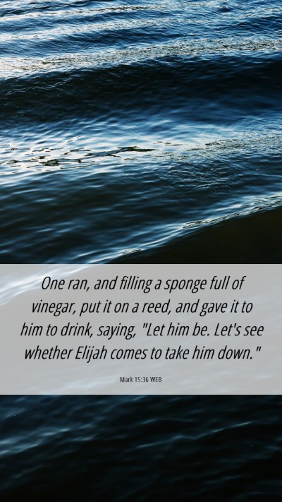 Picture 06 - Mark 15:36 WEB Mobile Phone Wallpaper - One ran, and filling a sponge full of vinegar, - Mobile Bible Verse Wallpaper