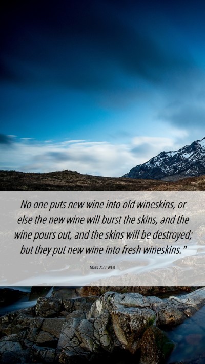 Picture 06 - Mark 2:22 WEB Mobile Phone Wallpaper - No one puts new wine into old wineskins, or else - Mobile Bible Verse Wallpaper
