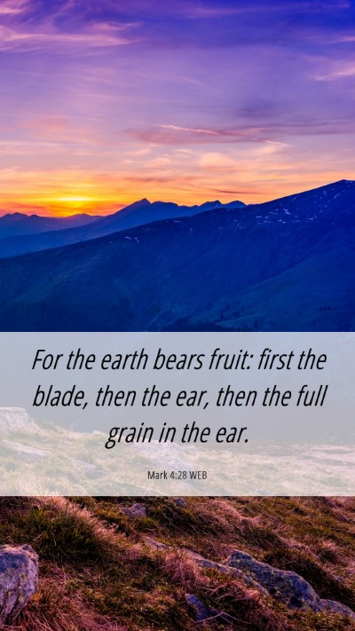 Picture 06 - Mark 4:28 WEB Mobile Phone Wallpaper - For the earth bears fruit: first the blade, then - Mobile Bible Verse Wallpaper