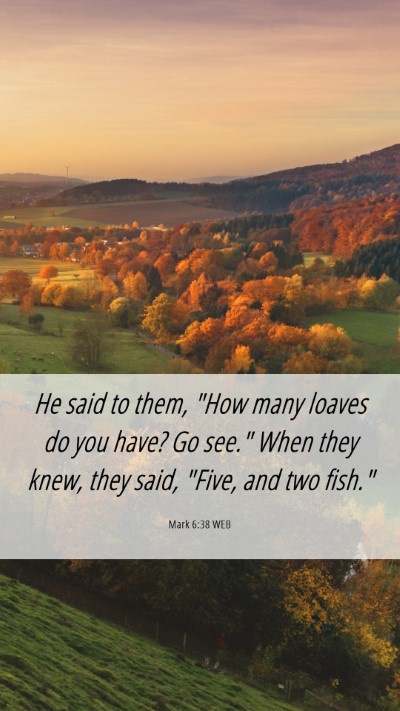Picture 06 - Mark 6:38 WEB Mobile Phone Wallpaper - He said to them, 