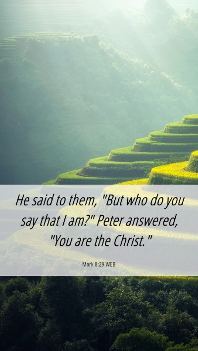 Picture 06 - Mark 8:29 WEB Mobile Phone Wallpaper - He said to them, 