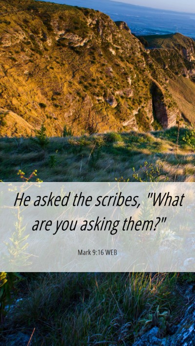 Picture 06 - Mark 9:16 WEB Mobile Phone Wallpaper - He asked the scribes, 