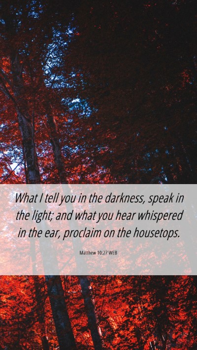 Picture 06 - Matthew 10:27 WEB Mobile Phone Wallpaper - What I tell you in the darkness, speak in the - Mobile Bible Verse Wallpaper