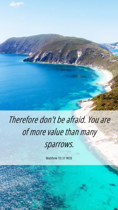 Picture 06 - Matthew 10:31 WEB Mobile Phone Wallpaper - Therefore don't be afraid. You are of more value - Mobile Bible Verse Wallpaper
