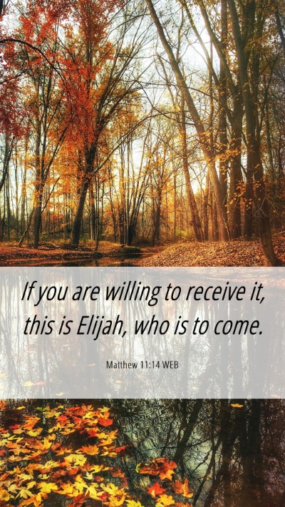 Picture 06 - Matthew 11:14 WEB Mobile Phone Wallpaper - If you are willing to receive it, this is Elijah, - Mobile Bible Verse Wallpaper