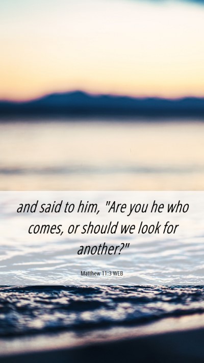 Picture 06 - Matthew 11:3 WEB Mobile Phone Wallpaper - and said to him, 