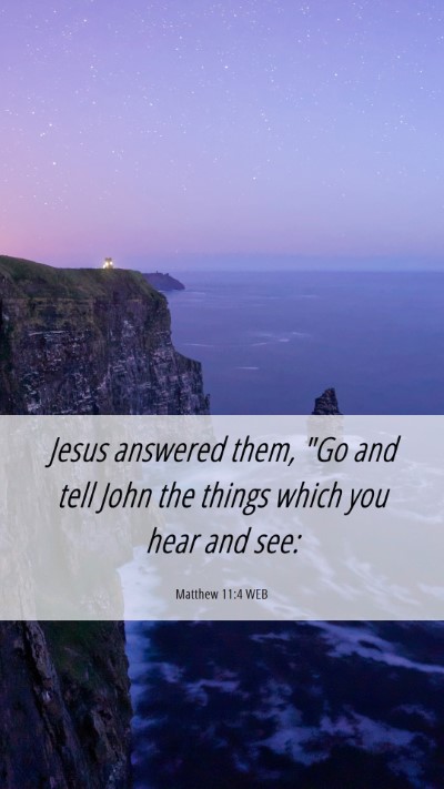 Picture 06 - Matthew 11:4 WEB Mobile Phone Wallpaper - Jesus answered them, 