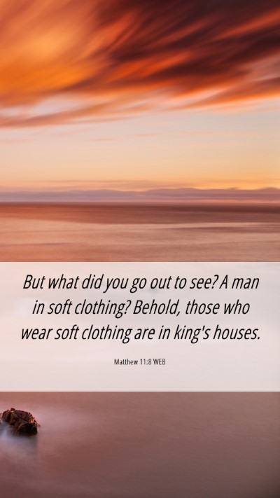 Picture 06 - Matthew 11:8 WEB Mobile Phone Wallpaper - But what did you go out to see? A man in soft - Mobile Bible Verse Wallpaper