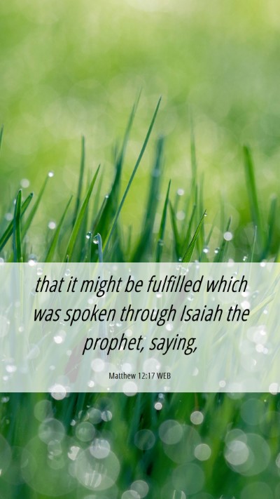 Picture 06 - Matthew 12:17 WEB Mobile Phone Wallpaper - that it might be fulfilled which was spoken - Mobile Bible Verse Wallpaper