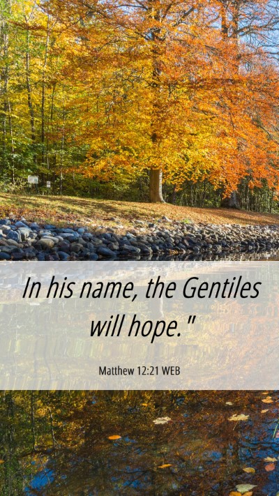 Picture 06 - Matthew 12:21 WEB Mobile Phone Wallpaper - In his name, the Gentiles will - Mobile Bible Verse Wallpaper